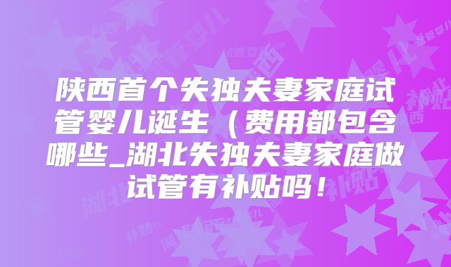 陕西首个失独夫妻家庭试管婴儿诞生(费用都包含哪些_湖北失独夫妻家庭做试管有补贴吗!