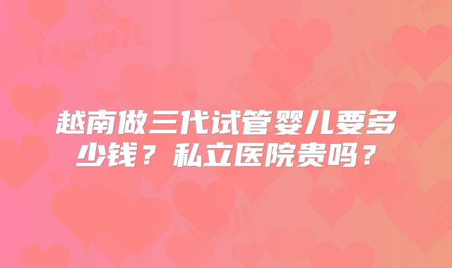 越南做三代试管婴儿要多少钱?私立医院贵吗?