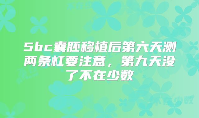 5bc囊胚移植后第六天测两条杠要注意，第九天没了不在少数