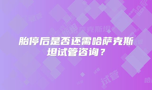 胎停后是否还需哈萨克斯坦试管咨询？