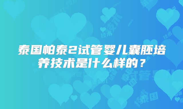 泰国帕泰2试管婴儿囊胚培养技术是什么样的？