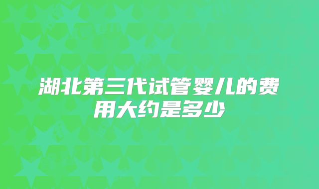 湖北第三代试管婴儿的费用大约是多少