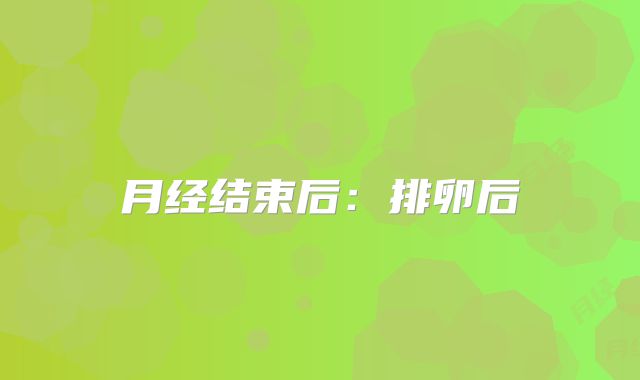 月经结束后:排卵后