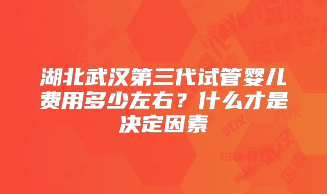 湖北武汉第三代试管婴儿费用多少左右？什么才是决定因素