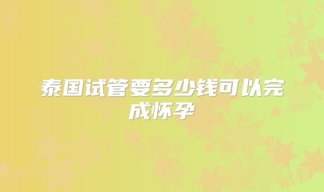 泰国试管要多少钱可以完成怀孕