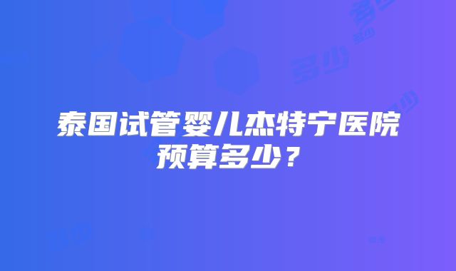 泰国试管婴儿杰特宁医院预算多少？