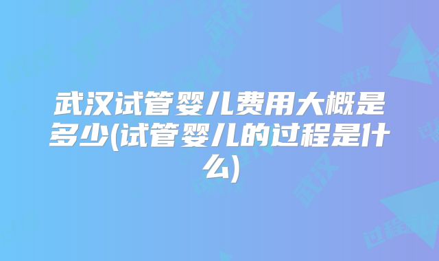 武汉试管婴儿费用大概是多少(试管婴儿的过程是什么)