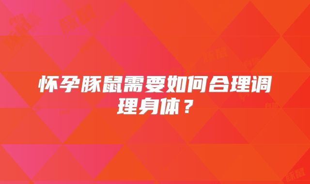 怀孕豚鼠需要如何合理调理身体？