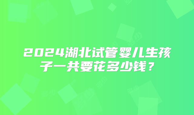 2024湖北试管婴儿生孩子一共要花多少钱?