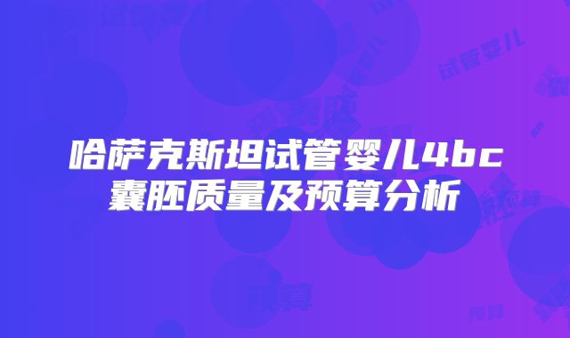 哈萨克斯坦试管婴儿4bc囊胚质量及预算分析