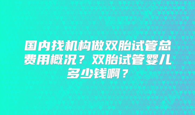 国内找机构做双胎试管总费用概况？双胎试管婴儿多少钱啊？