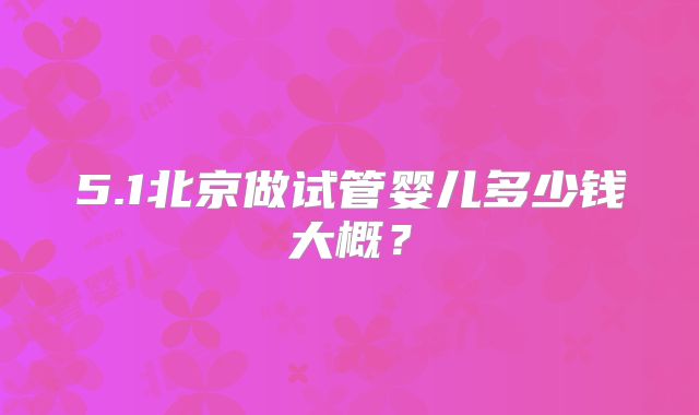 5.1北京做试管婴儿多少钱大概？
