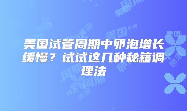 美国试管周期中卵泡增长缓慢？试试这几种秘籍调理法