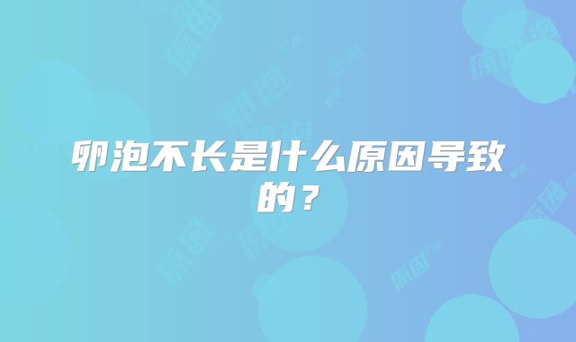 卵泡不长是什么原因导致的?