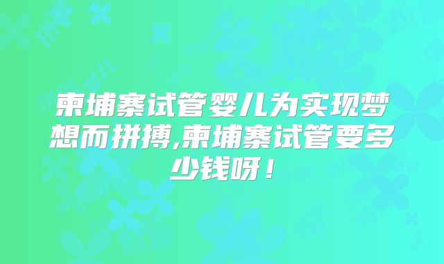 柬埔寨试管婴儿为实现梦想而拼搏,柬埔寨试管要多少钱呀！