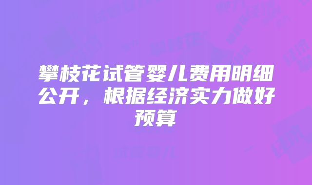 攀枝花试管婴儿费用明细公开，根据经济实力做好预算