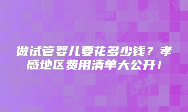 做试管婴儿要花多少钱？孝感地区费用清单大公开！