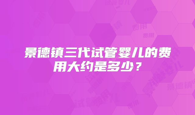 景德镇三代试管婴儿的费用大约是多少？