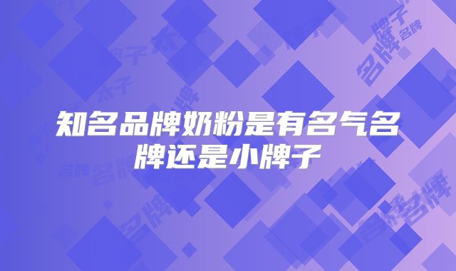 知名品牌奶粉是有名气名牌还是小牌子