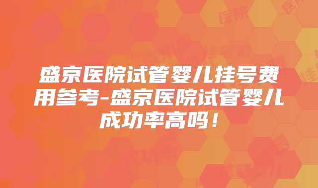 盛京医院试管婴儿挂号费用参考-盛京医院试管婴儿成功率高吗！