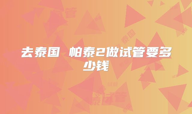 去泰国 帕泰2做试管要多少钱