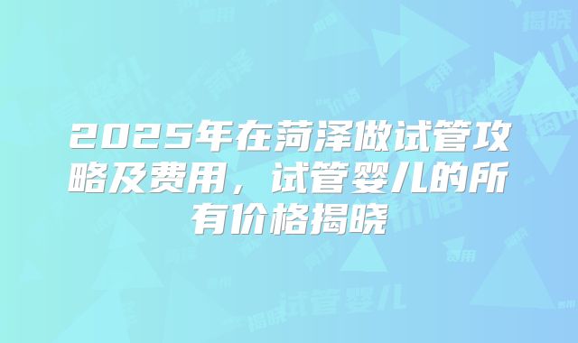 2025年在菏泽做试管攻略及费用,试管婴儿的所有价格揭晓