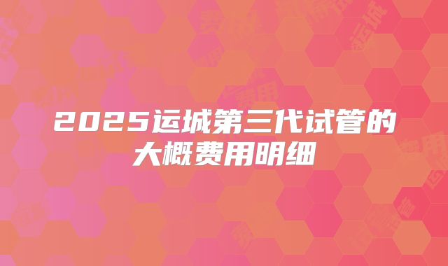 2025运城第三代试管的大概费用明细