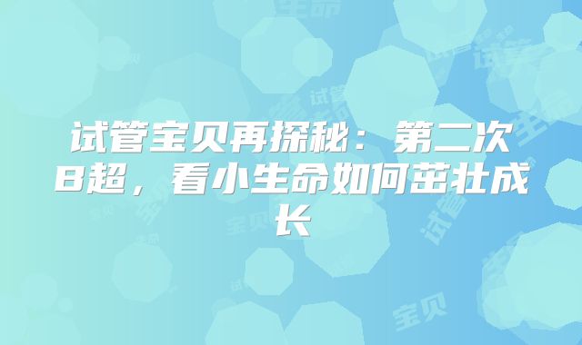 试管宝贝再探秘：第二次B超，看小生命如何茁壮成长