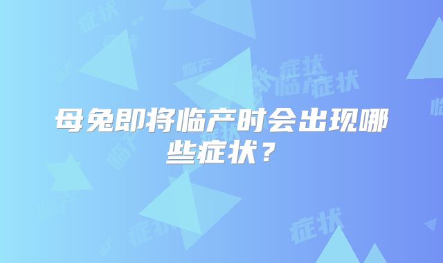 母兔即将临产时会出现哪些症状？