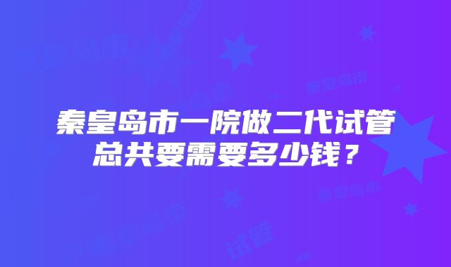 秦皇岛市一院做二代试管总共要需要多少钱？