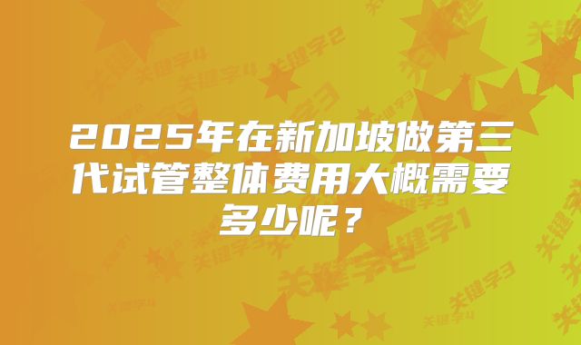 2025年在新加坡做第三代试管整体费用大概需要多少呢?