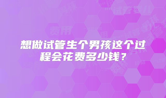 想做试管生个男孩这个过程会花费多少钱？