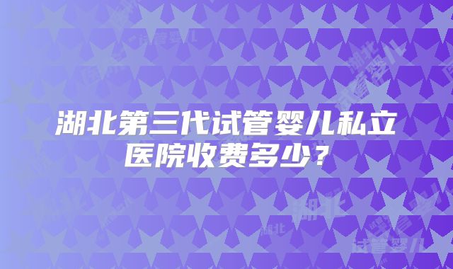 湖北第三代试管婴儿私立医院收费多少？