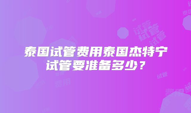 泰国试管费用泰国杰特宁试管要准备多少？