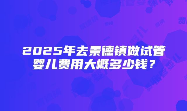 2025年去景德镇做试管婴儿费用大概多少钱？