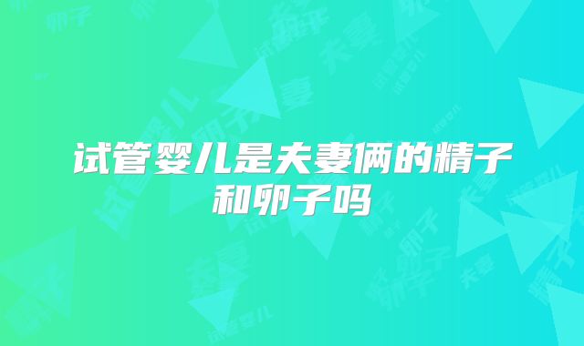 试管婴儿是夫妻俩的精子和卵子吗