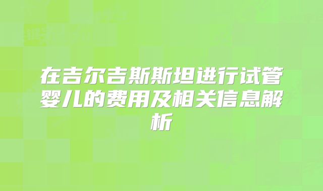 在吉尔吉斯斯坦进行试管婴儿的费用及相关信息解析