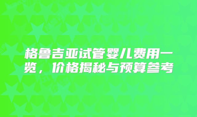 格鲁吉亚试管婴儿费用一览，价格揭秘与预算参考