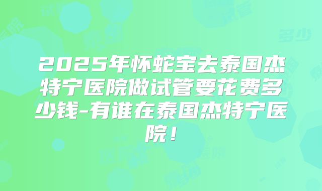 2025年怀蛇宝去泰国杰特宁医院做试管要花费多少钱-有谁在泰国杰特宁医院！