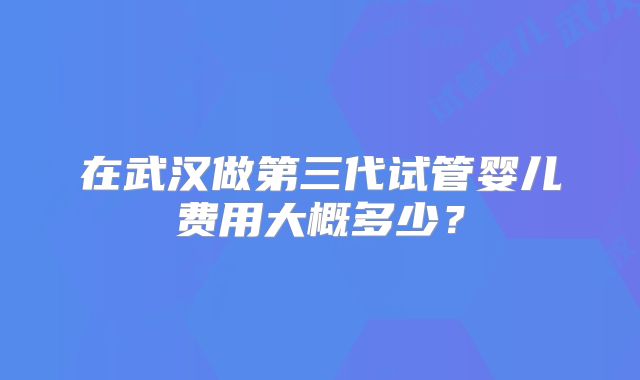 在武汉做第三代试管婴儿费用大概多少?