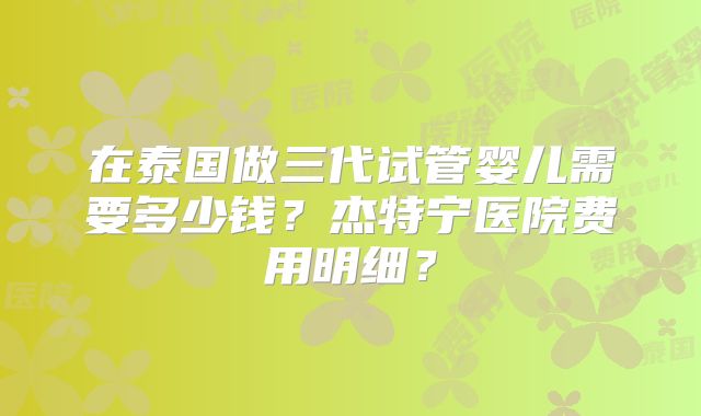 在泰国做三代试管婴儿需要多少钱？杰特宁医院费用明细？