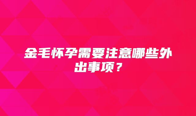 金毛怀孕需要注意哪些外出事项?