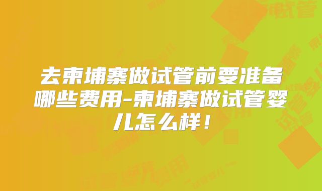 去柬埔寨做试管前要准备哪些费用-柬埔寨做试管婴儿怎么样！