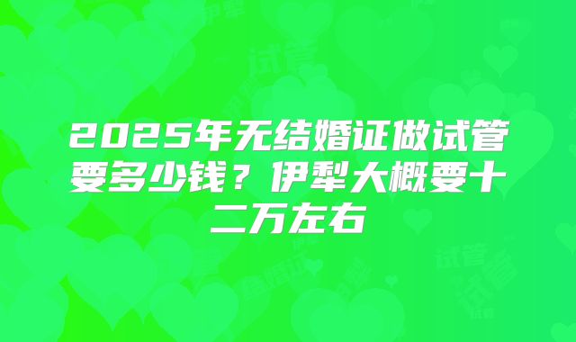 2025年无结婚证做试管要多少钱?伊犁大概要十二万左右