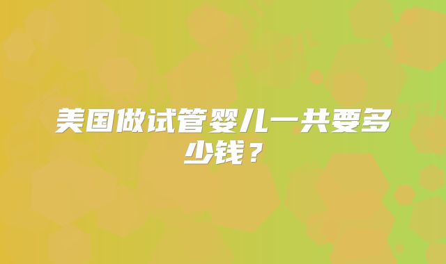 美国做试管婴儿一共要多少钱?