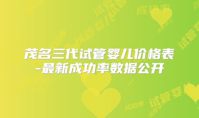 茂名三代试管婴儿价格表-最新成功率数据公开