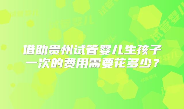 借助贵州试管婴儿生孩子一次的费用需要花多少？