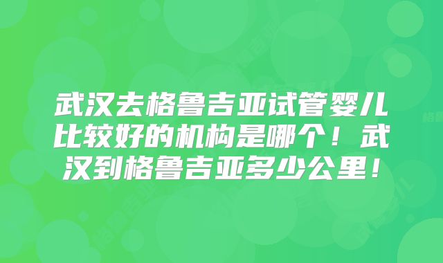 武汉去格鲁吉亚试管婴儿比较好的机构是哪个！武汉到格鲁吉亚多少公里！