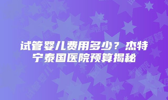 试管婴儿费用多少?杰特宁泰国医院预算揭秘