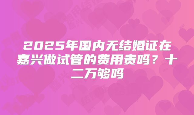 2025年国内无结婚证在嘉兴做试管的费用贵吗?十二万够吗